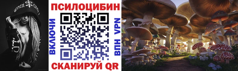 Галлюциногенные грибы Cubensis  Сельцо 